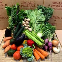 One Time Organic Harvest Box