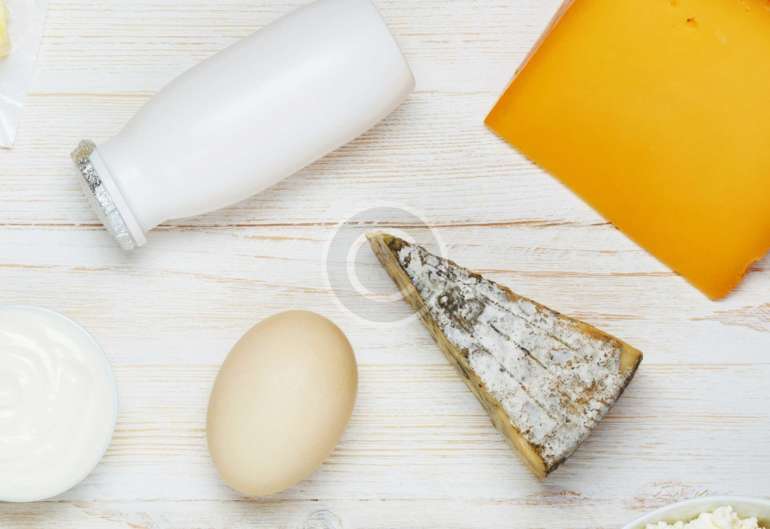Premium Dairy Products