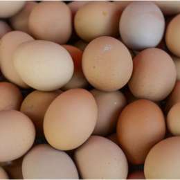 Free-Roaming Hen Eggs