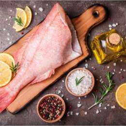 American Red Snapper