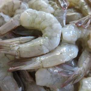 Jumbo Gulf Shrimp