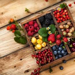 Small Organic Berry Box