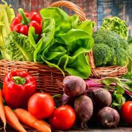 Ultimate Vegetarian Bounty Box