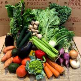 vegetable delivery service Florida