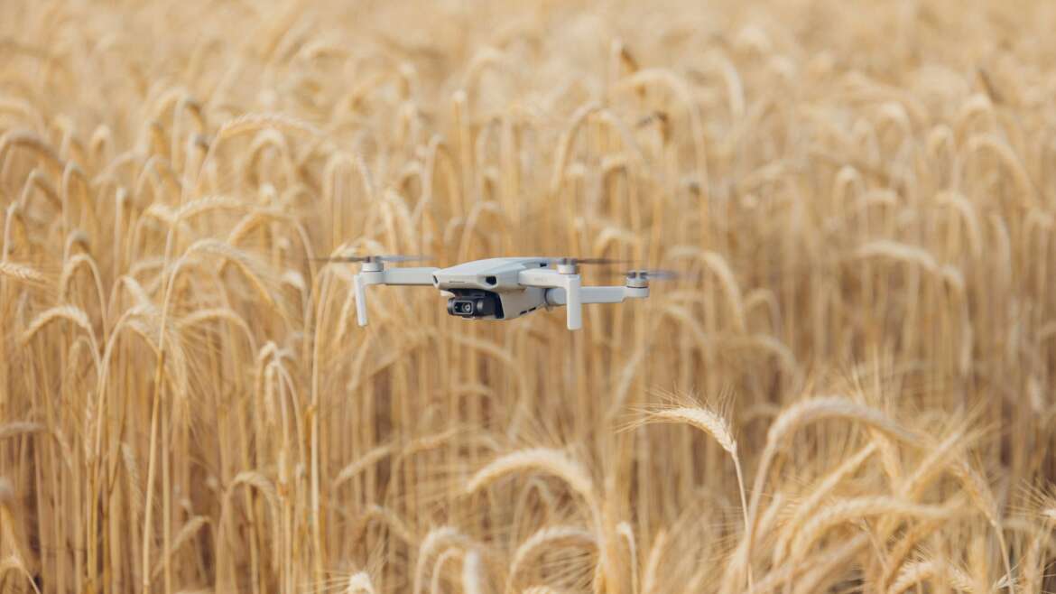 Drones Over Farms: Why Florida Growers Are on Edge