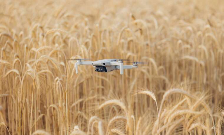 Drones Over Farms: Why Florida Growers Are on Edge